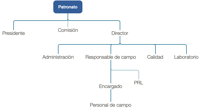 organigrama_ES