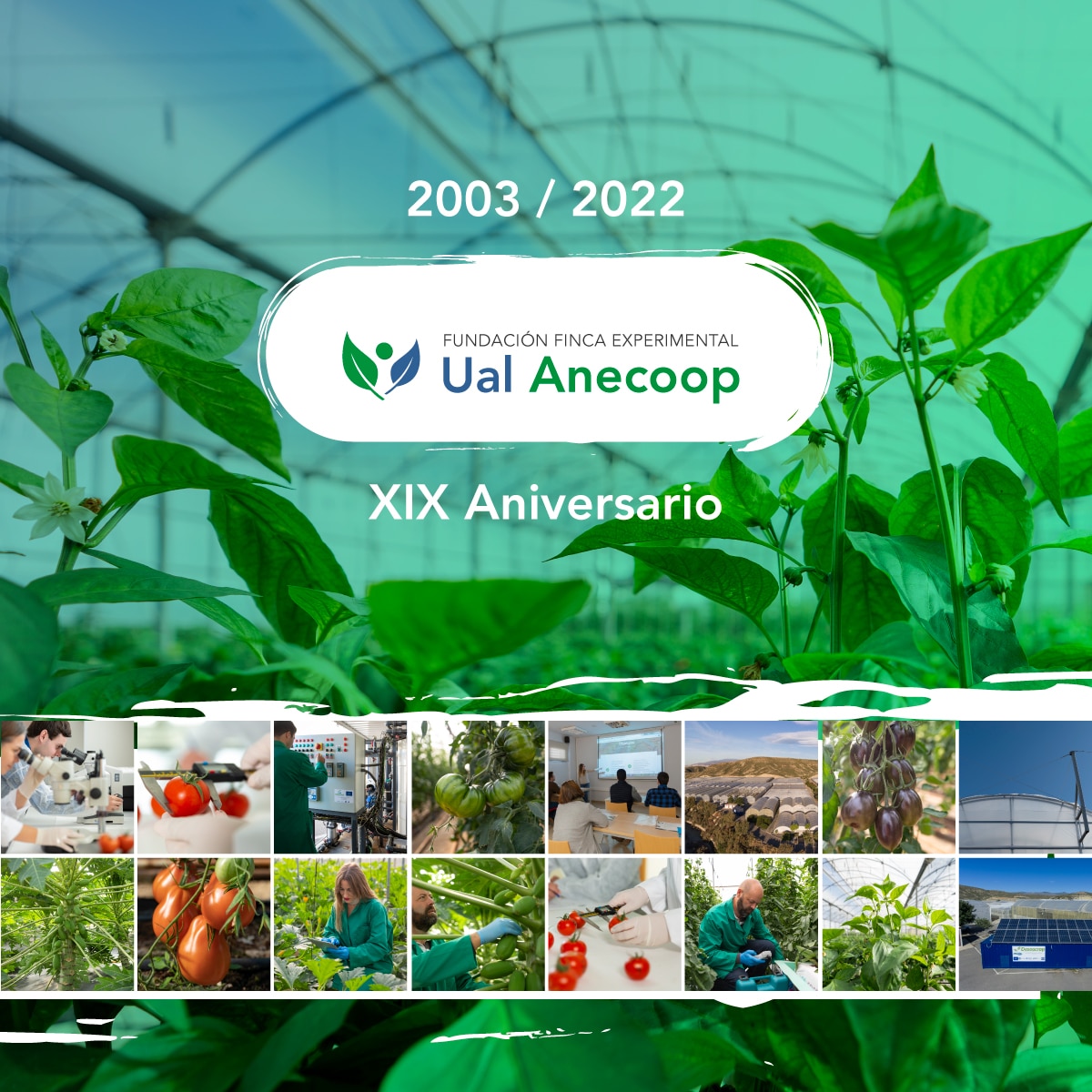 XIX Aniversario Fundación Ual Anecoop