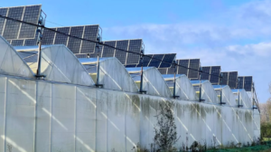 Invernaderos agrivoltaicos