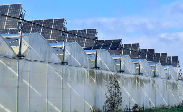 Invernaderos agrivoltaicos