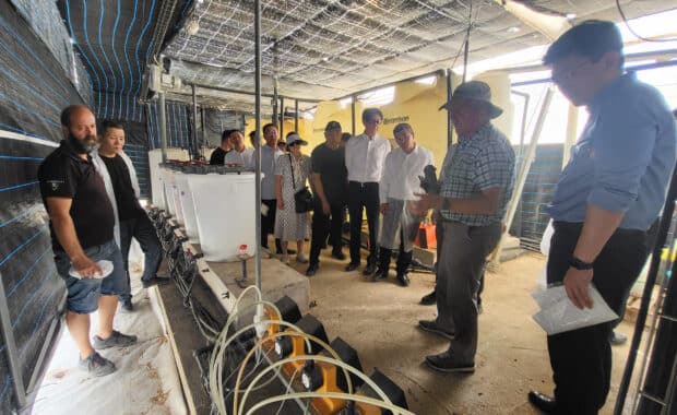 Delegación de investigadores de la industria química y de fertilizantes de China visita la Fundación Finca Experimental UAL-ANECOOP